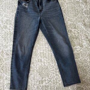 American Eagle Outfitters Blue Boyfriend Jeans